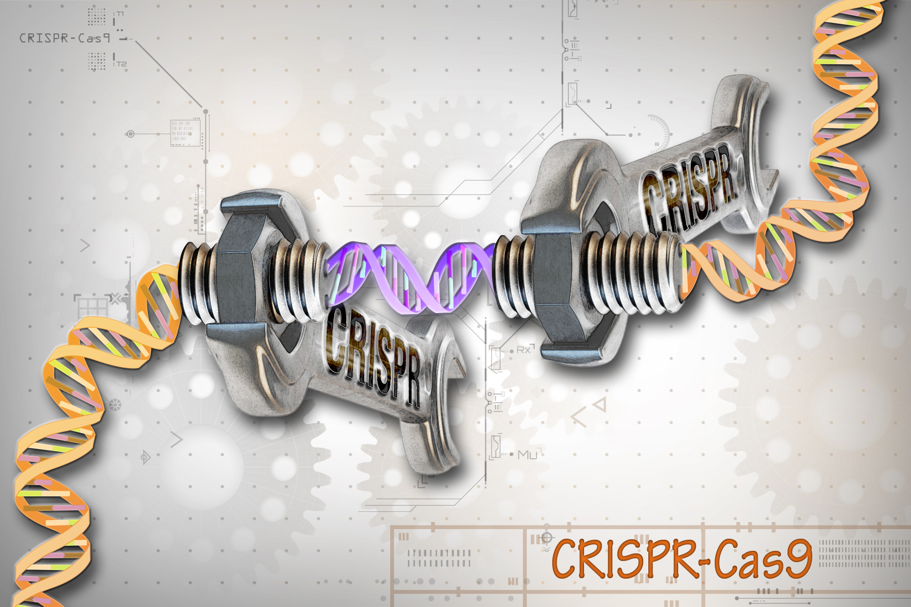 CRISPR-Cas9 editing of the genome — Anthropic’s claimed system resembles CRISPR in architecture, but its function is still unknown