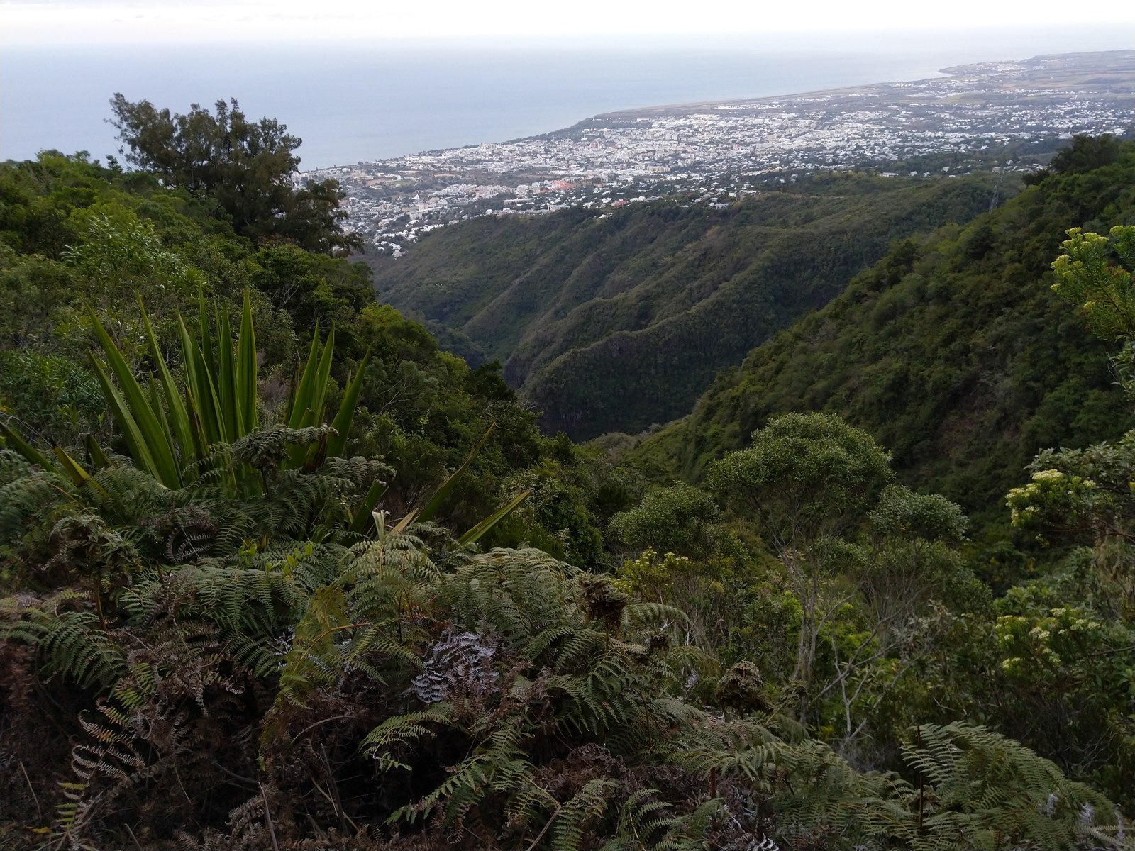 Saint-Denis, Réunion, where the seized DF Peak tanker is being taken — France seizes shadow fleet tanker