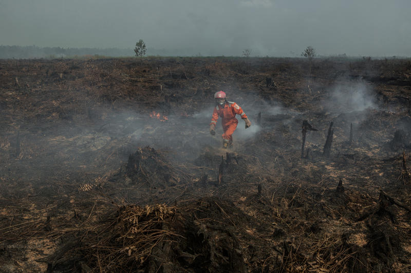 Firefighter walking across burned peatland, illustrating peatland fires Indonesia