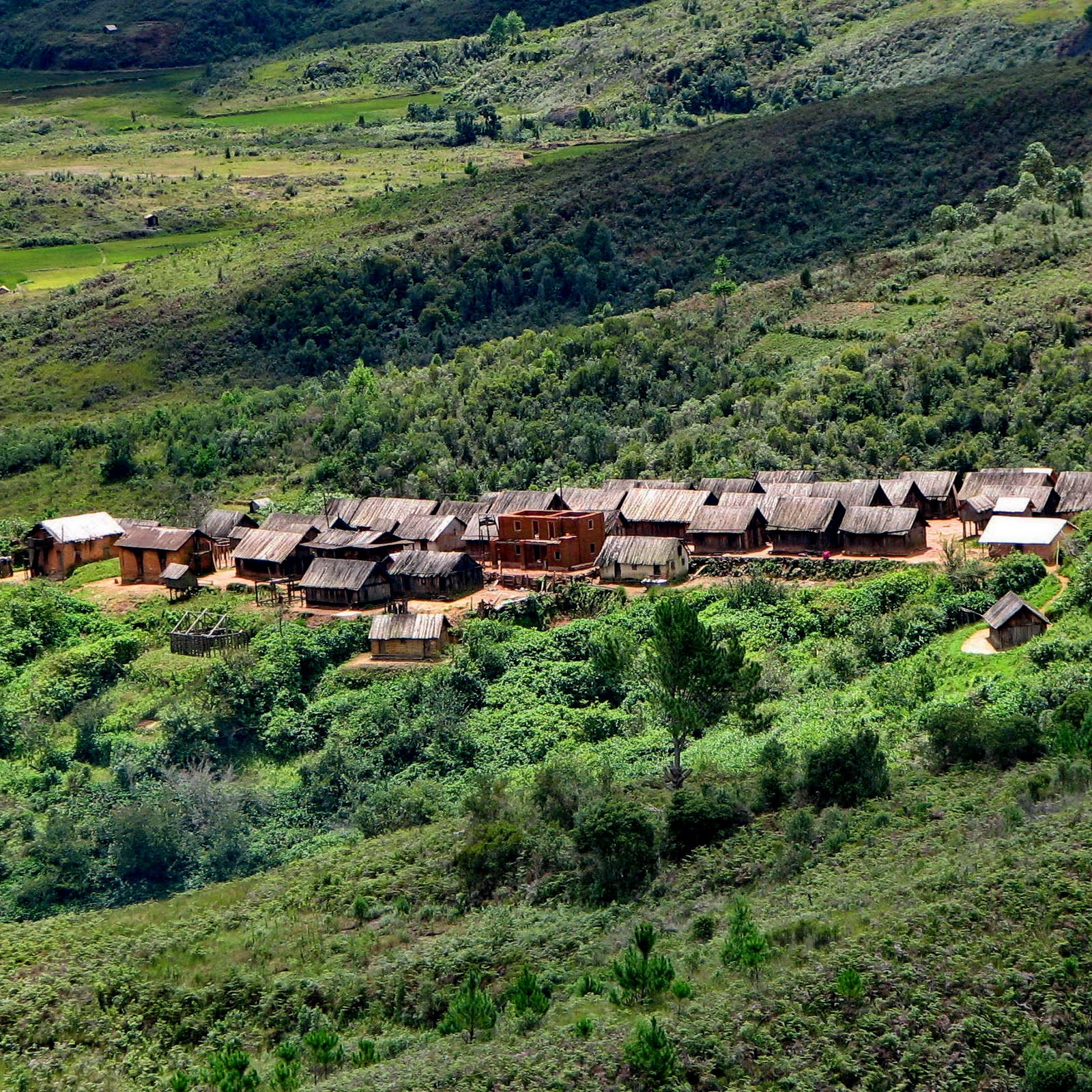 Ifasina village in the Zafimaniry country of Madagascar's highlands, the kind of rural highland settlement where plague surveillance operates