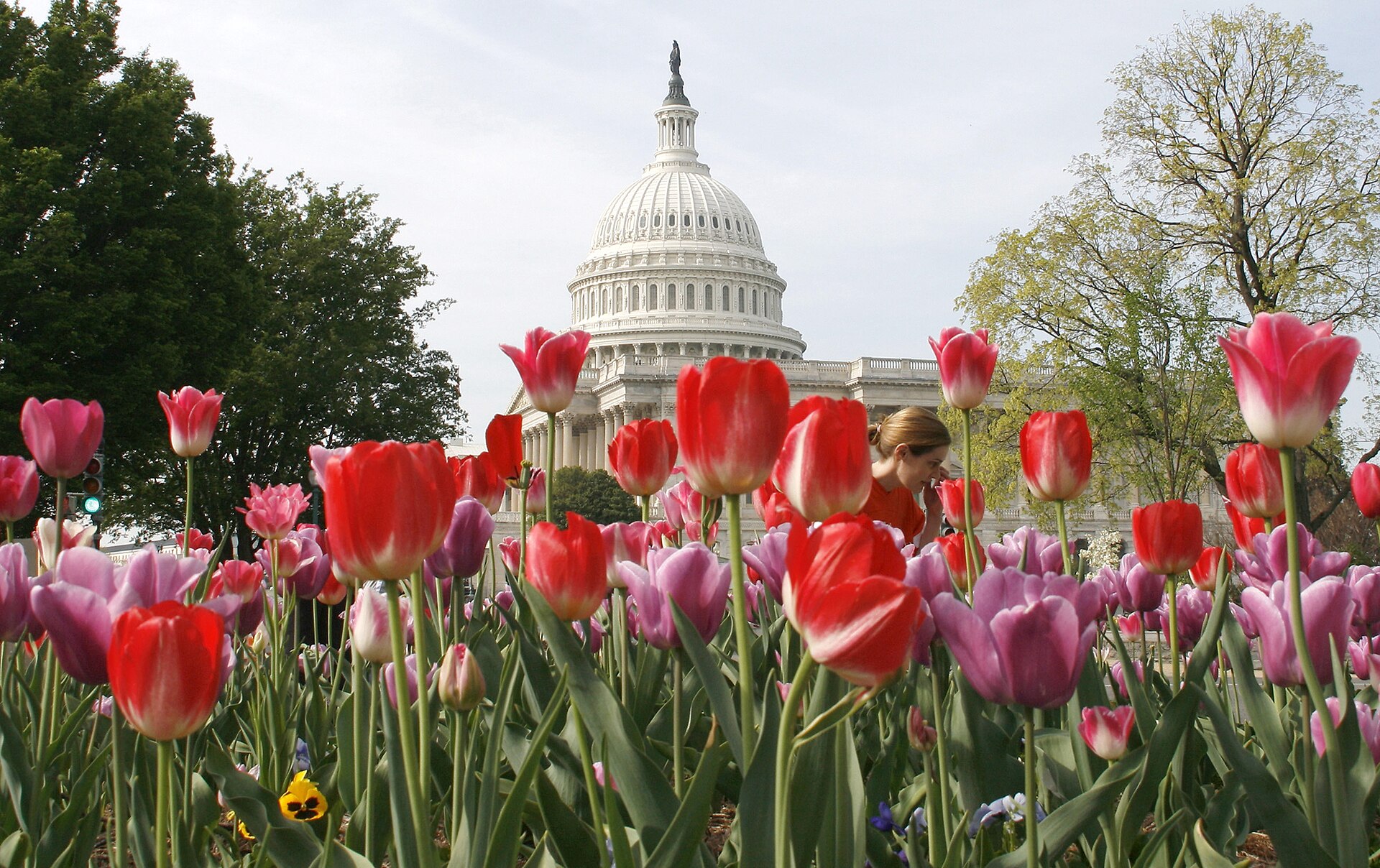 The United States Capitol dome seen from Senate Park in Washington, control of which is at stake in the 2026 midterms