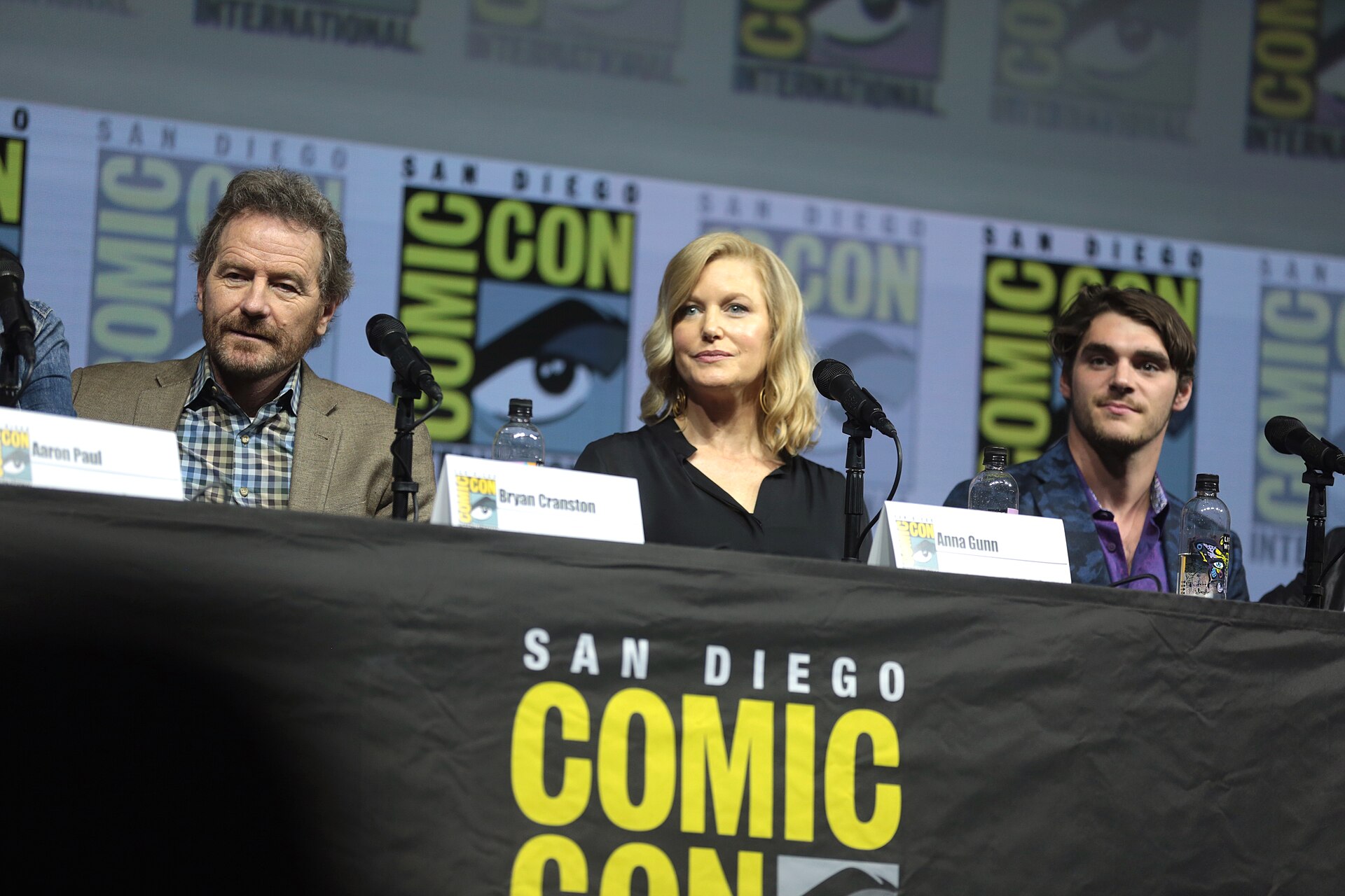 Bryan Cranston, Anna Gunn and RJ Mitte at the Breaking Bad 10th anniversary reunion panel in 2018