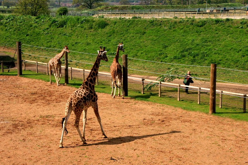 Yorkshire Wildlife Park grounds near Doncaster in a file photo