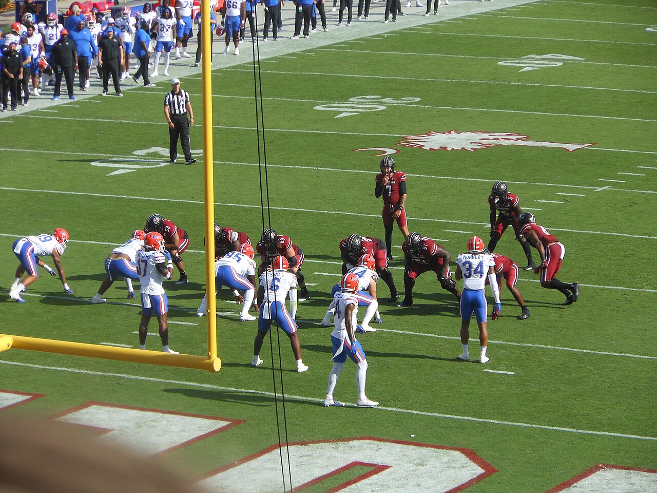 South Carolina Gamecocks offense lined up at Williams-Brice Stadium in a 2023 game against Florida