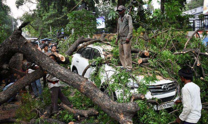 A tree uprooted by heavy rain and strong winds lies across a crushed car in Uttar Pradesh during the September 2026 floods