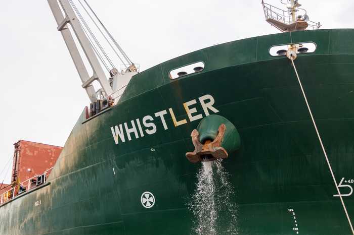 A bulk carrier cargo ship at sea — the vessel struck in the Odesa region flew the Liberian flag.