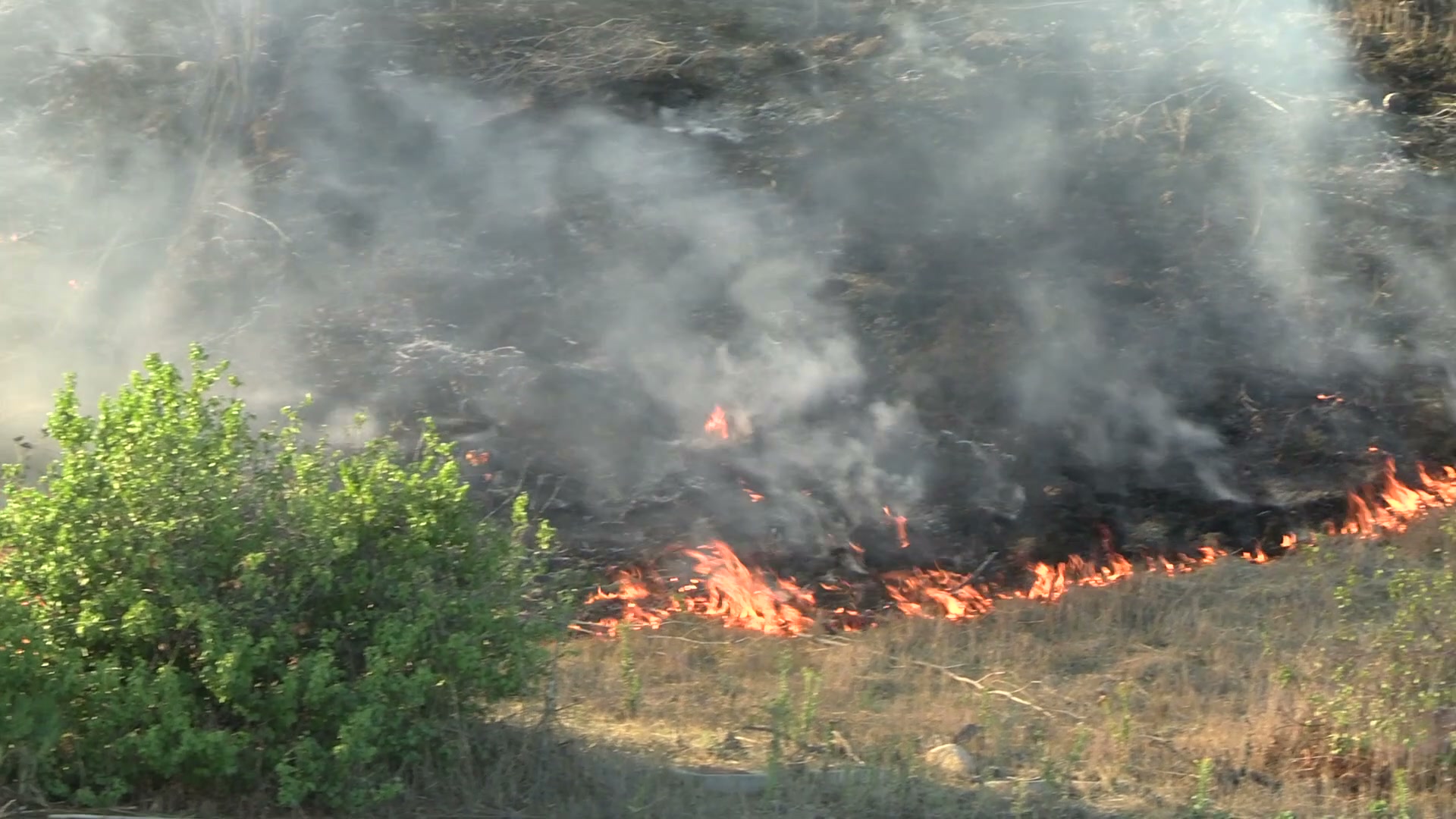 A line of flames from the Henderson Fire moves through dry brush at Camp Pendleton on October 15, 2026