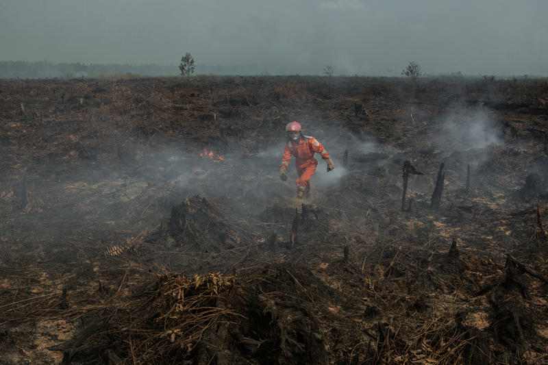 Firefighter walking across burned peatland, illustrating peatland fires Indonesia