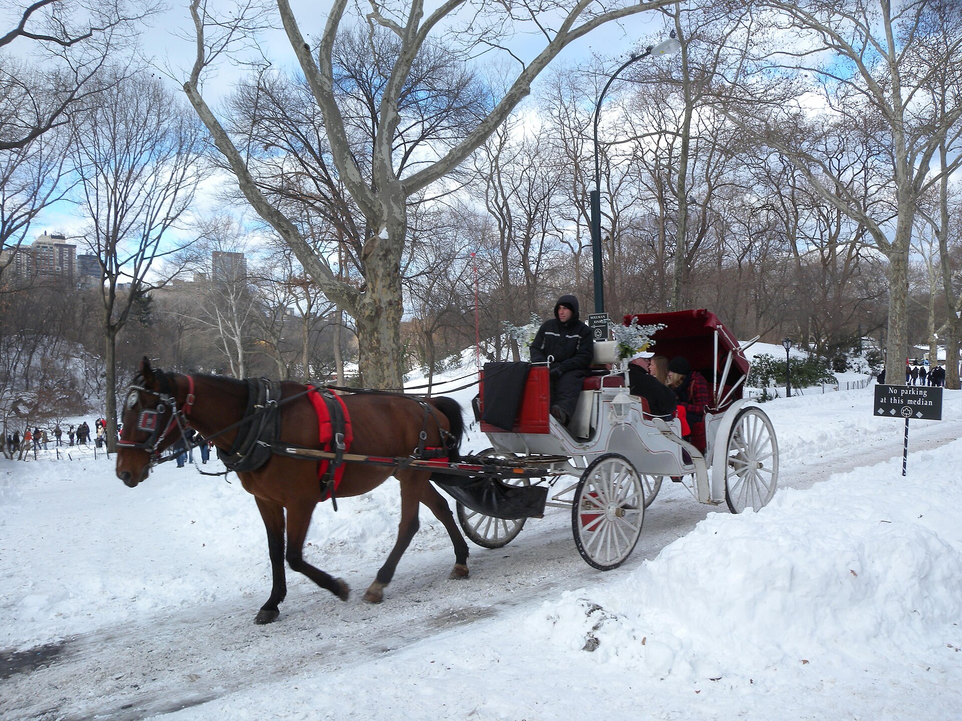 A horse-drawn carriage ride through snow in Central Park — an image of the trade the NYC horse carriage ban will end in 2028