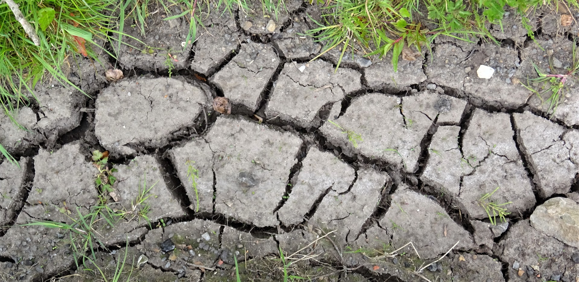 El Nino drought risk — cracked earth after prolonged drought, the pattern the WMO forecasts for southern Africa, parts of Central America and Southeast Asia
