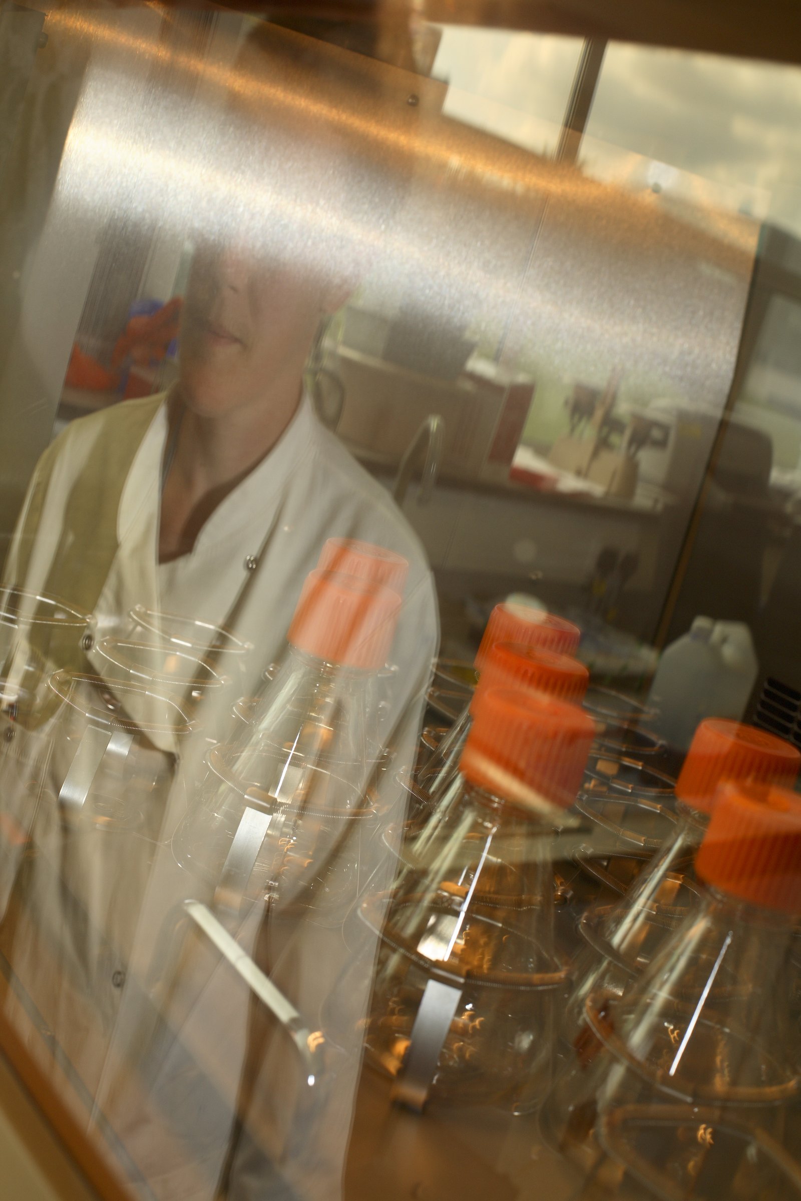 A scientist examining sample containers at Porton Down