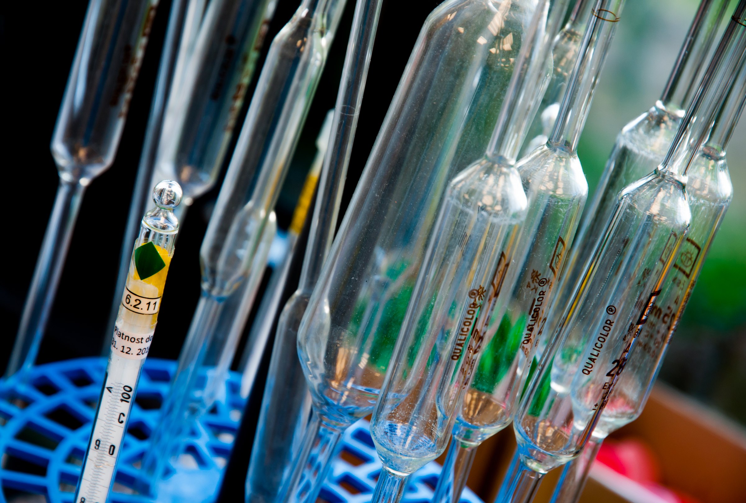 Test tubes in a laboratory — Irkutsk plague outbreak origin