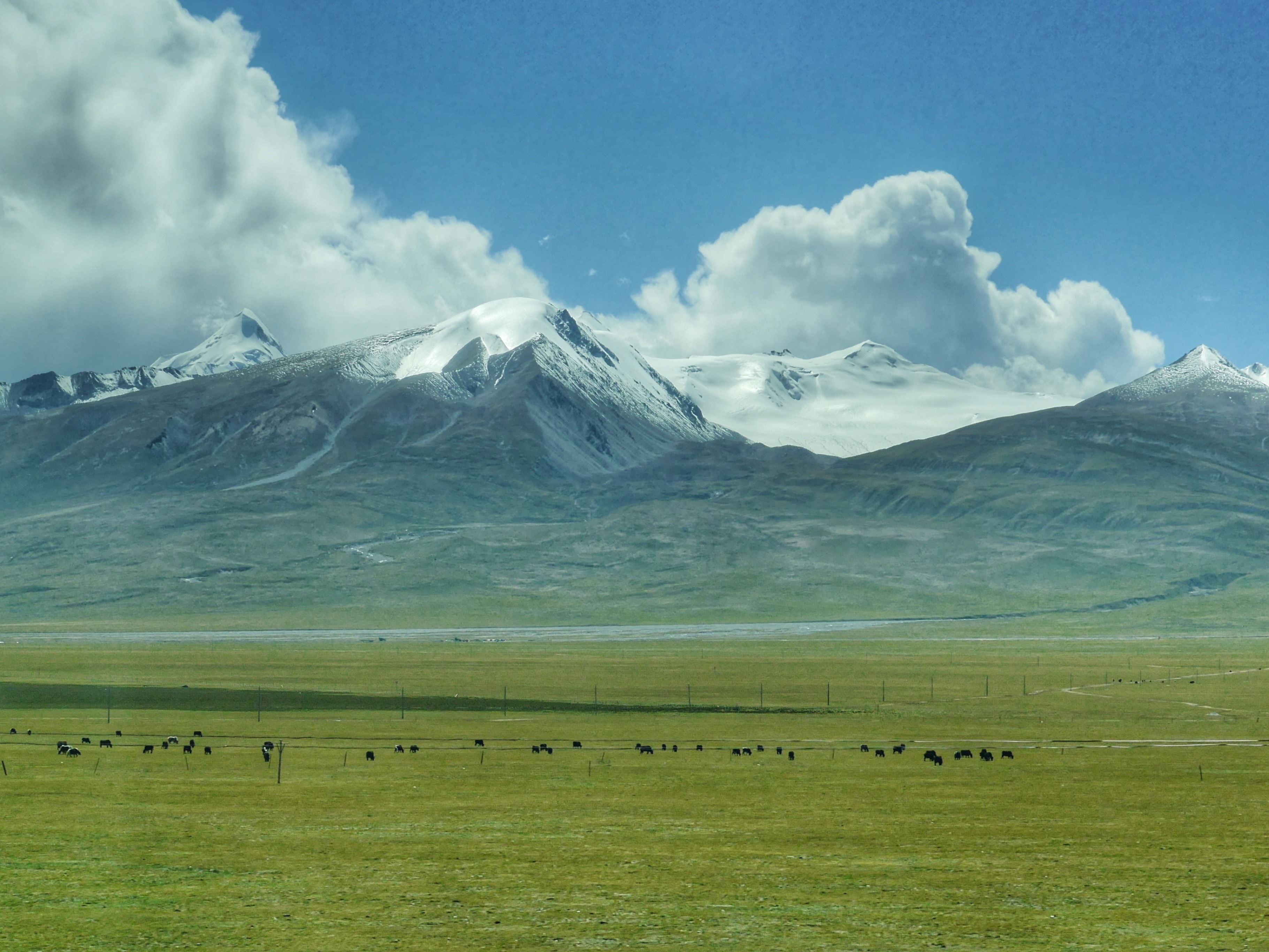 Tibet earthquake magnitude 7.0 region — a train on the Qinghai–Tibet railway crossing the high plateau, file photo