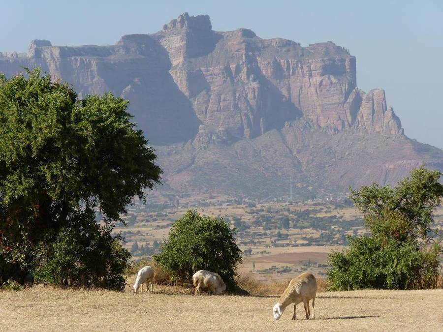 Tigray region landscape, Ethiopia, the area under a confirmed internet blackout in September 2026