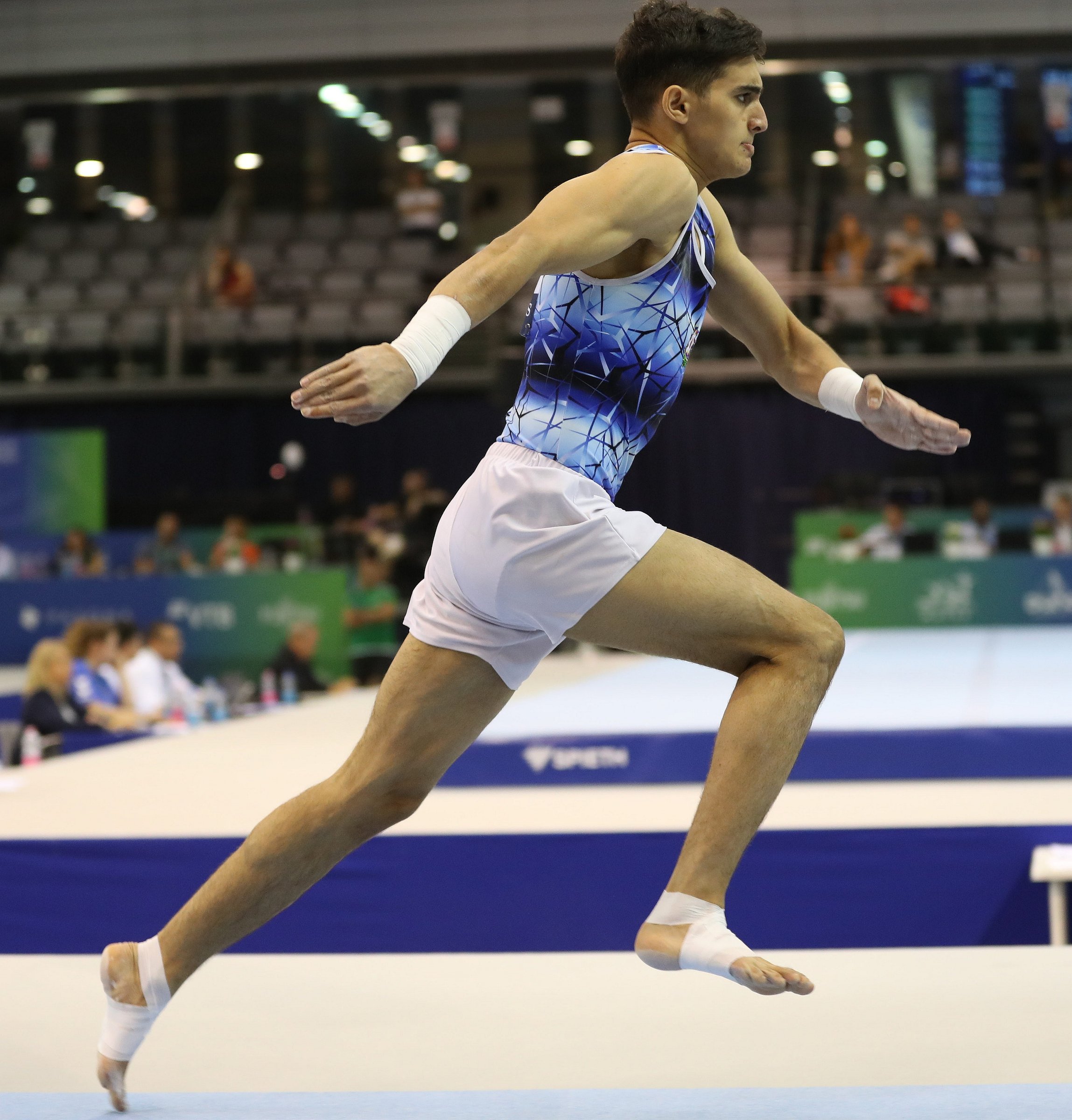 The vault apparatus at a FIG event