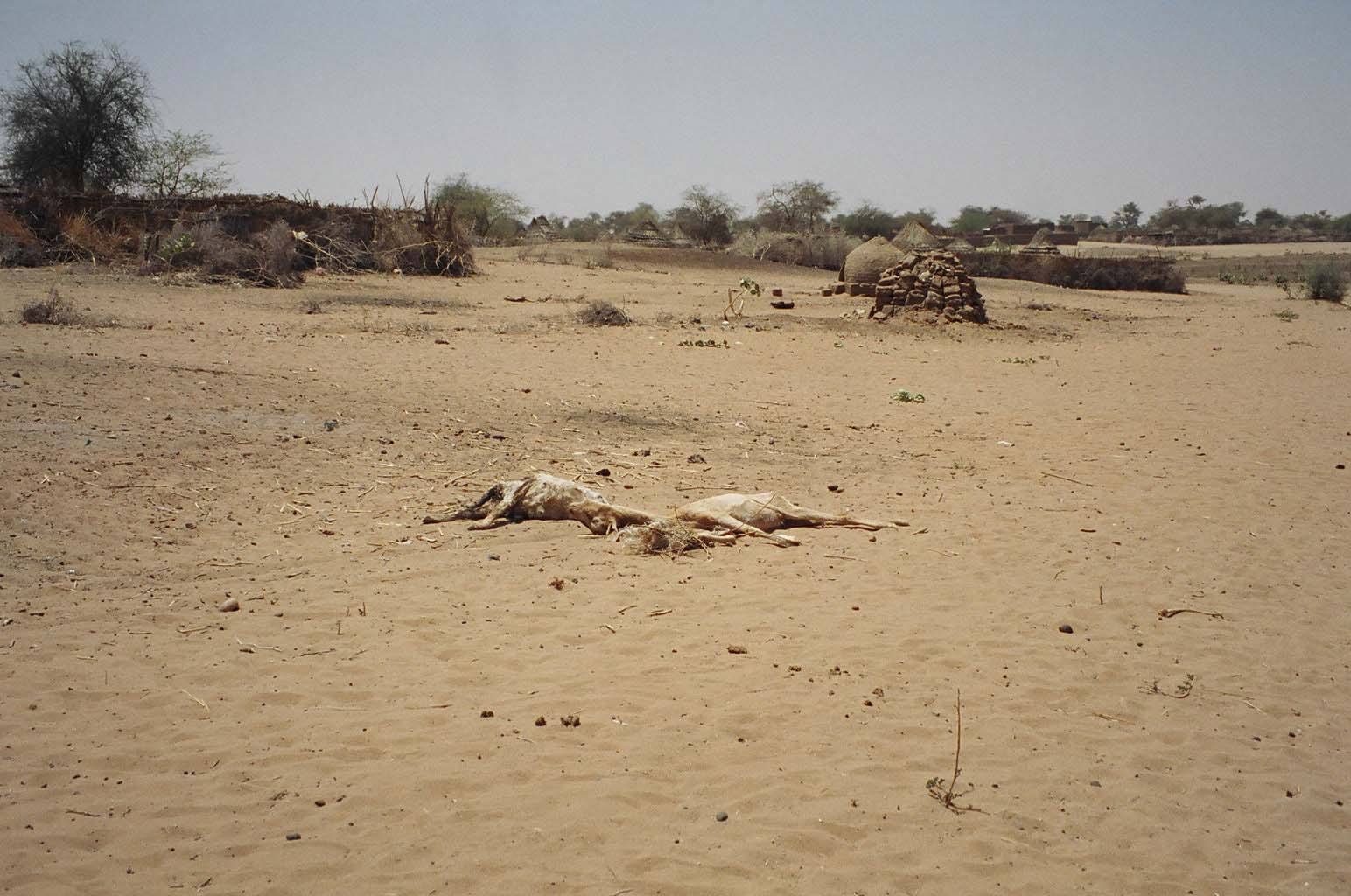 Destroyed buildings in Tawilla, Darfur, illustrating the wider Sudan war's civilian toll