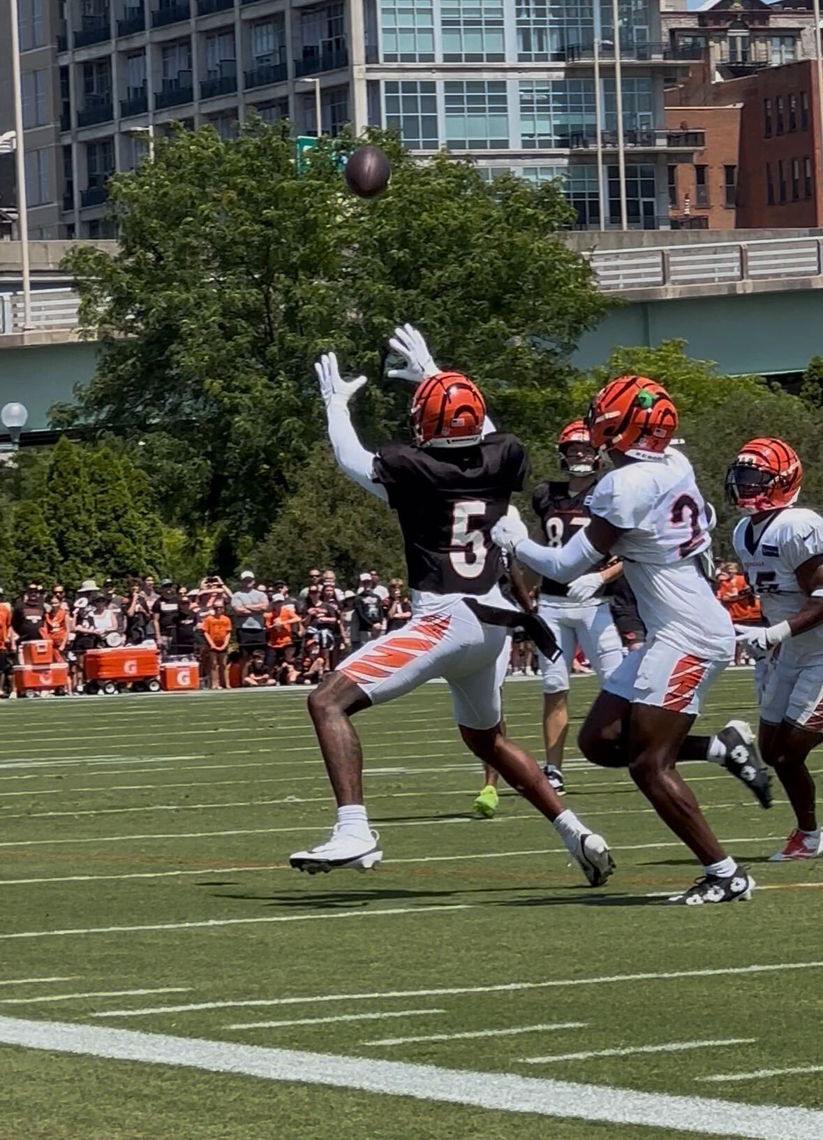 Tee Higgins Bengals Ravens — Higgins finished with 148 receiving yards and a touchdown after no catches in the first half