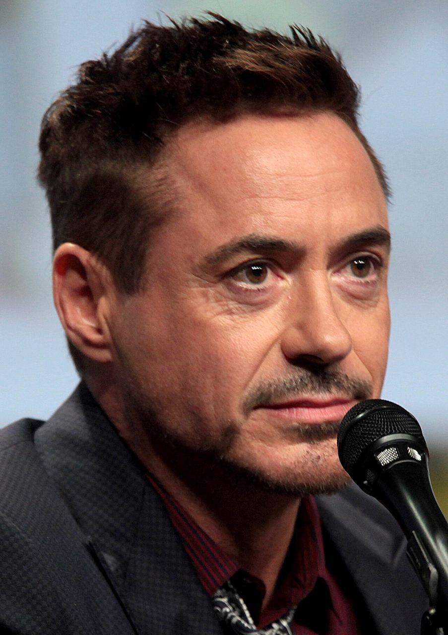 Robert Downey Jr., whose Iron Man anchors Avengers: Endgame, speaking at the 2014 San Diego Comic-Con