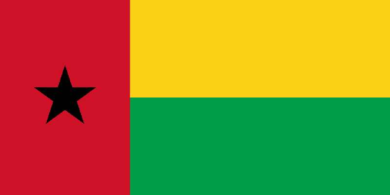 The national flag of Guinea-Bissau