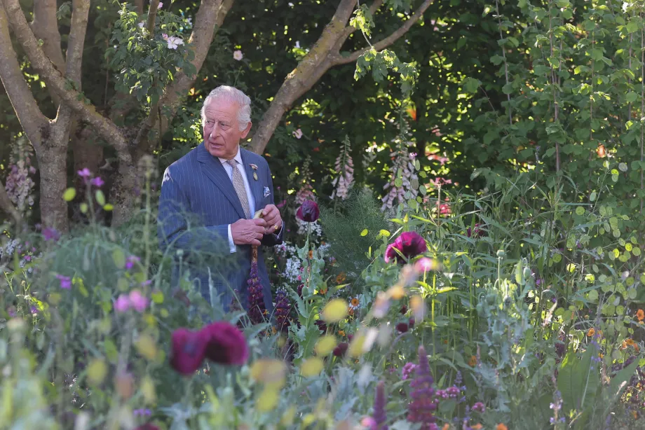 King Charles III walking through a garden at the Chelsea Flower Show