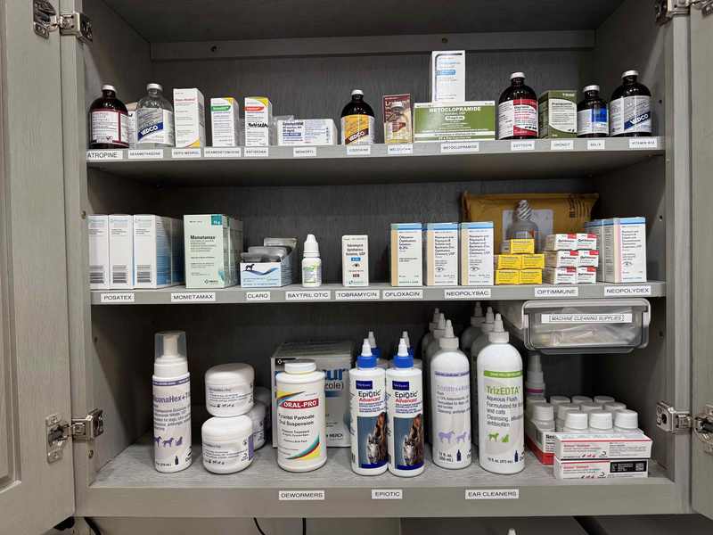 Medicine storage cabinet with pharmacy supplies as northeast China stockpile warnings mention antibiotics