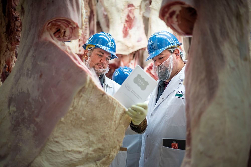 USDA meat inspector in a file photograph illustrating the recall of uninspected beef, pork and goat products