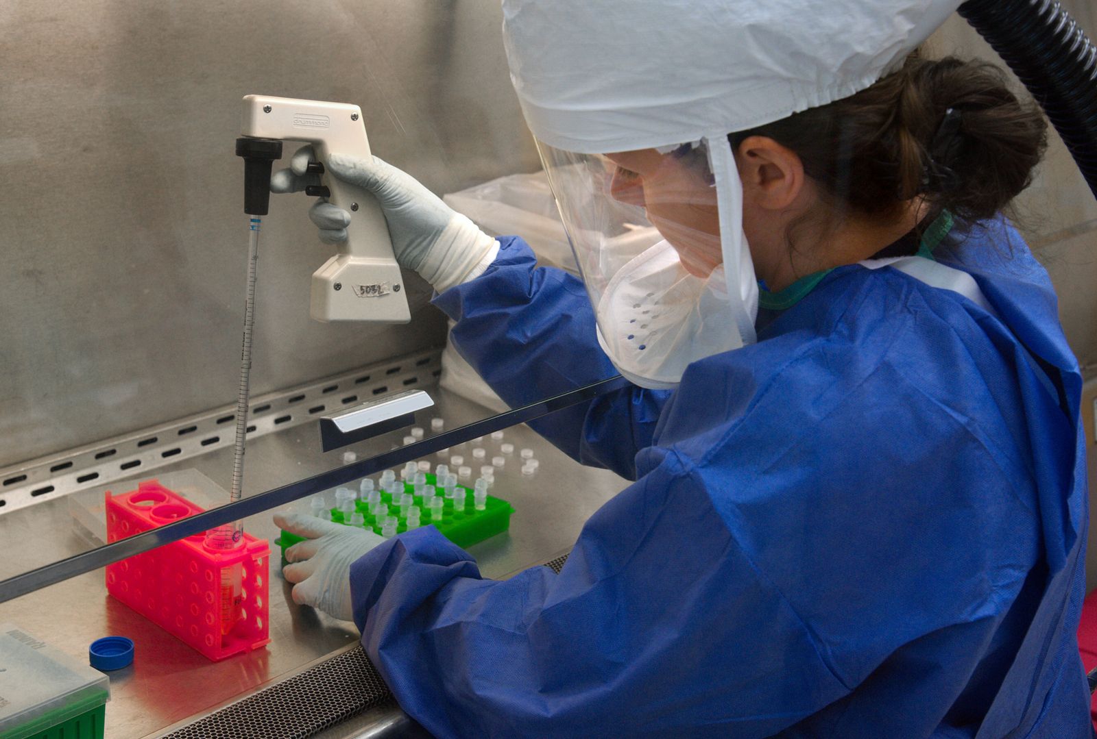 CDC scientist working in a virus laboratory, hepatitis B research context