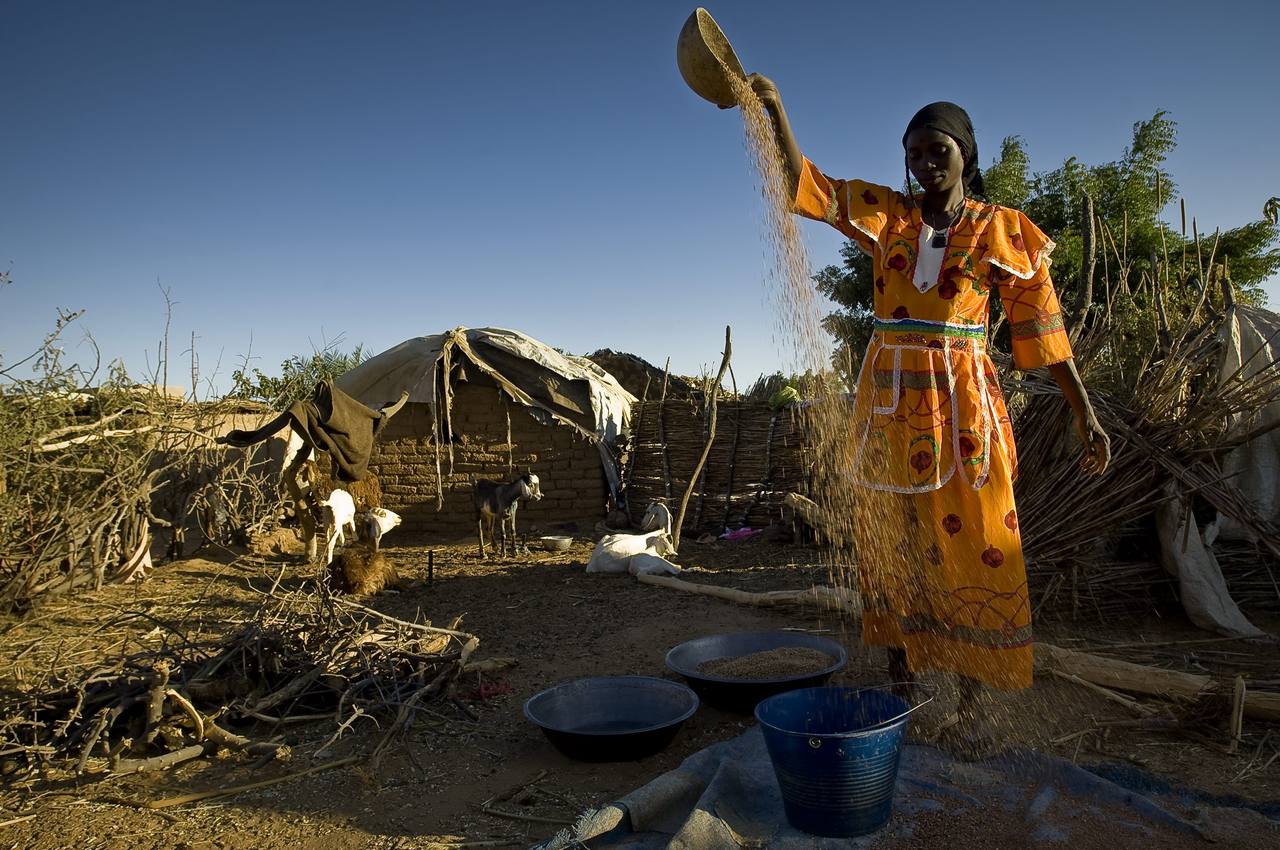 Darfurian refugees sorting millet at Farchana camp in Chad; Sudan war no end in sight