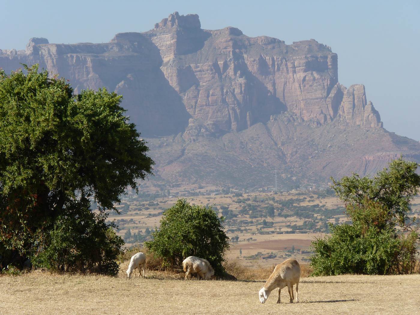 Landscape in Ethiopia's Tigray region, where network observers measured a subnational internet disruption in September 2026