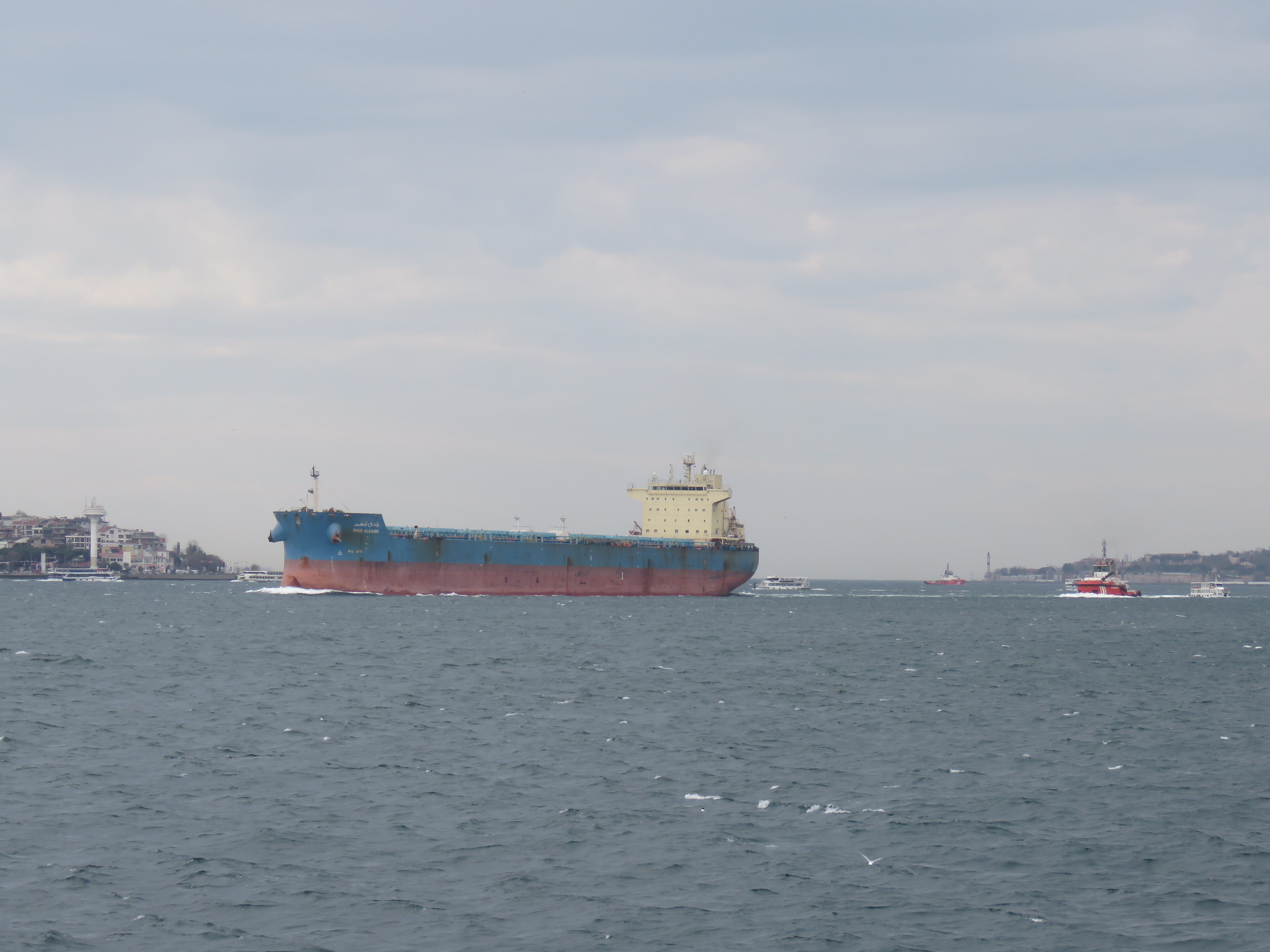 A laden bulk carrier transiting the Bosphorus, the Black Sea's only outlet to the Mediterranean — Bulgaria NATO anti-drone initiative file photograph
