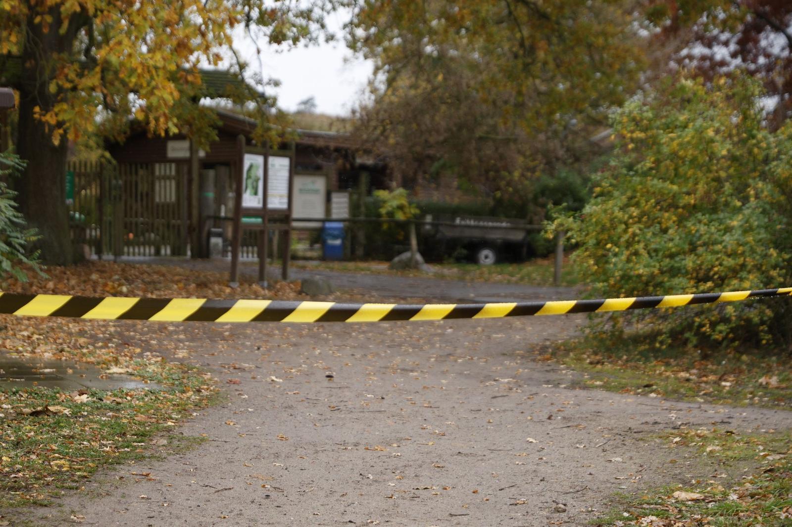 Johannismühle Wildlife Park cordoned off after a wolf attack Germany wildlife park incident seriously injured an 8-year-old girl