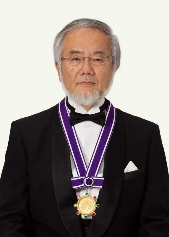 Kenso Soai, Nobel Prize Chemistry 2026 winner known for the Soai reaction