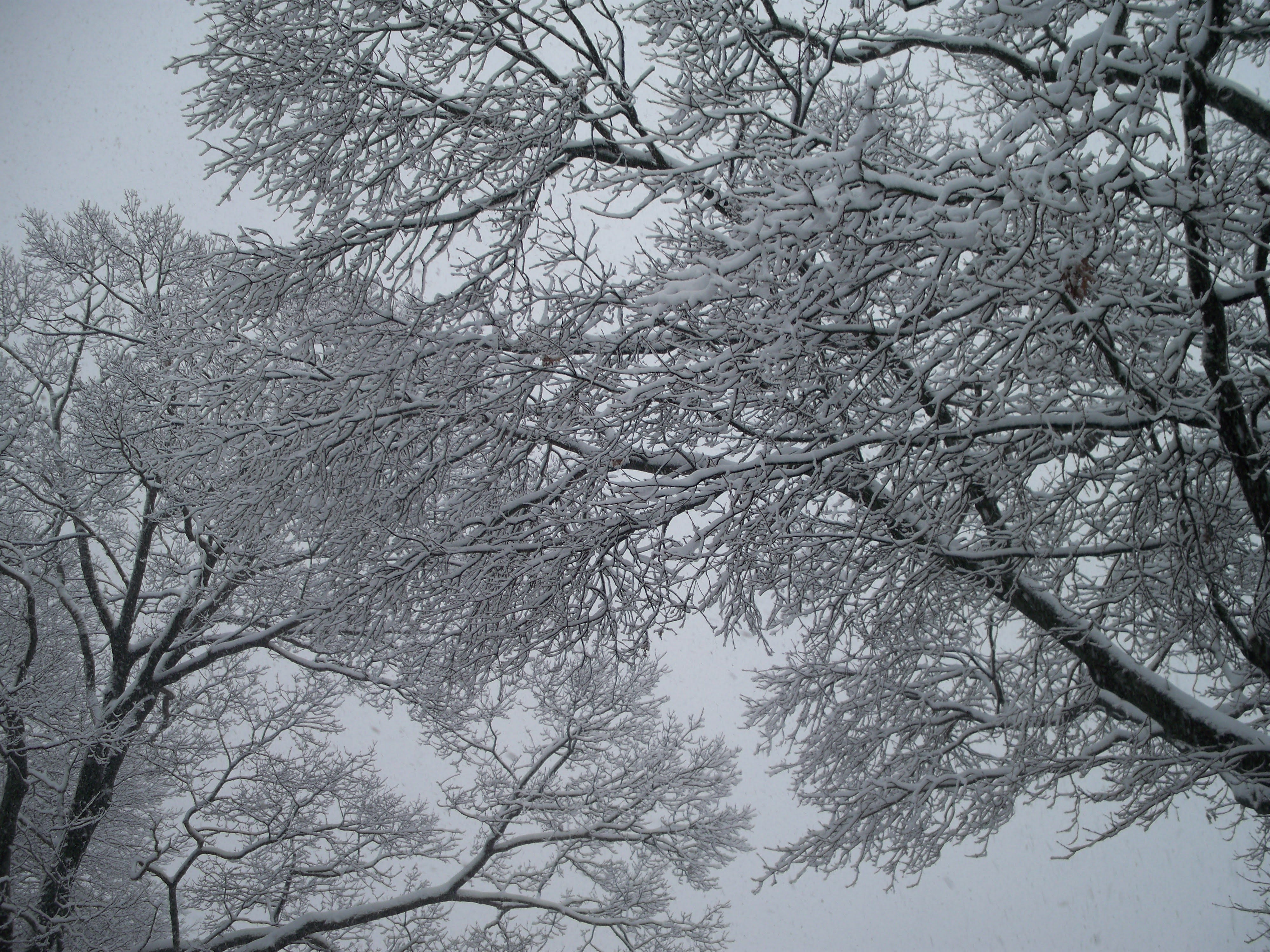 A snow-covered New England village in winter