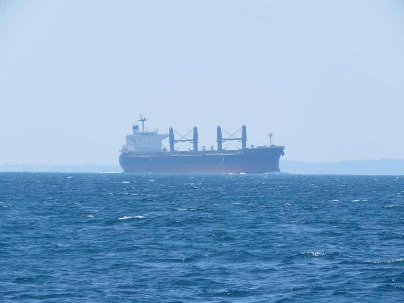 Bulk carrier underway, illustrating the Turkish-owned Royad Mammadov grain ship that sank in the Black Sea