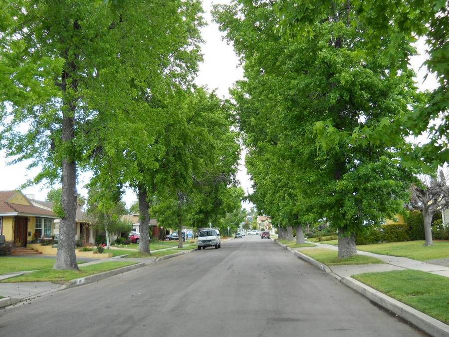 Suburban neighborhood in Van Nuys, California, typical of HOA-governed communities
