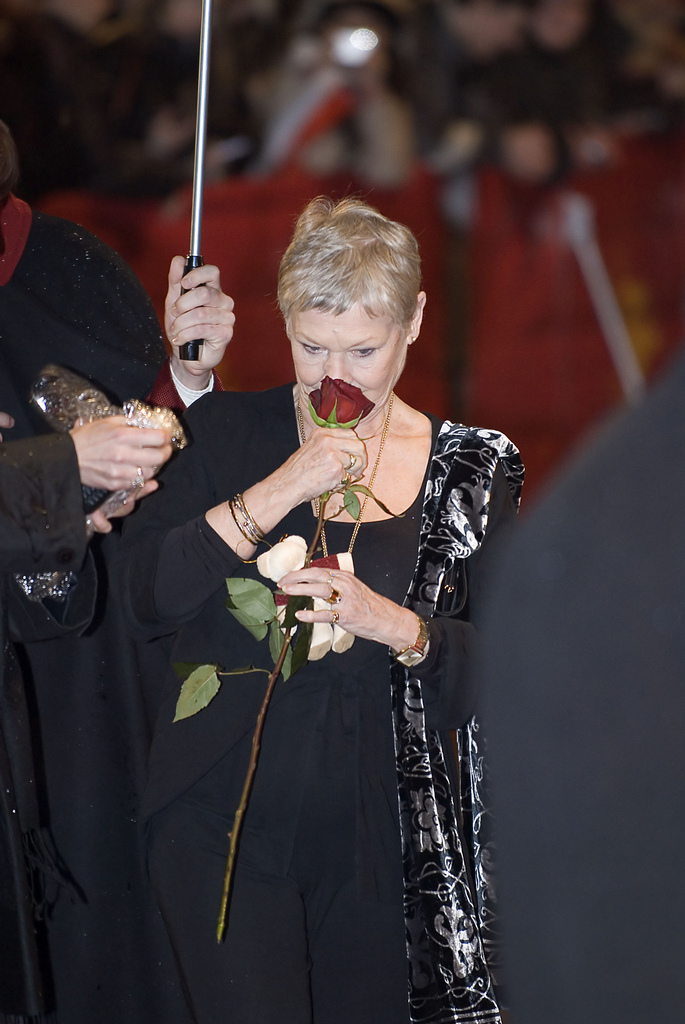 Judi Dench on a red carpet holding a rose to her face