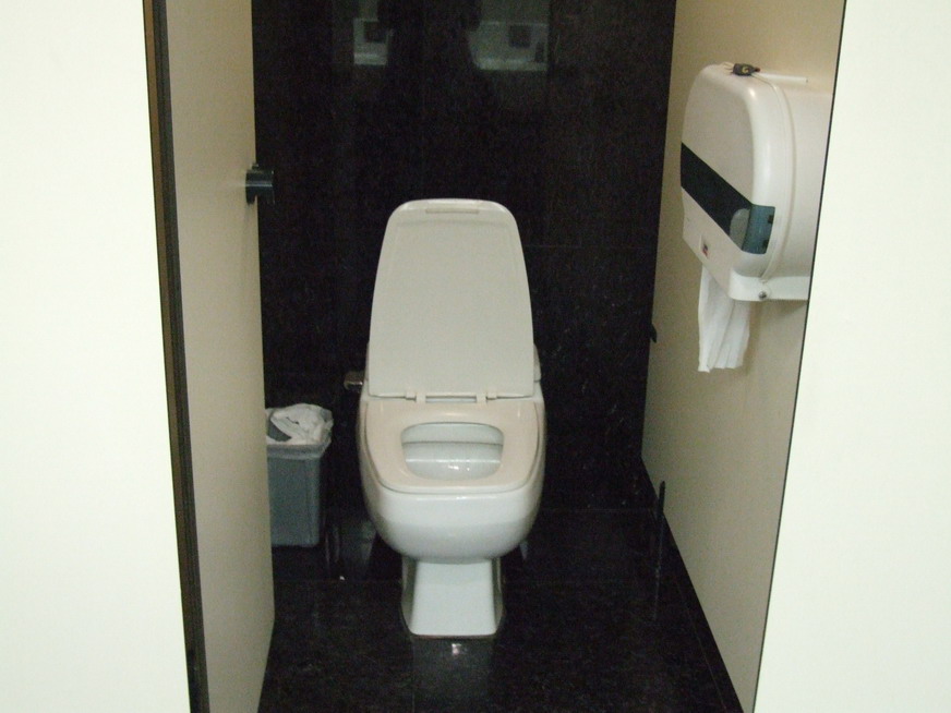 A modern public toilet in Beijing, the kind of facility at the centre of the China proper toilets exchange between Katie Zacharia and Mao Ning