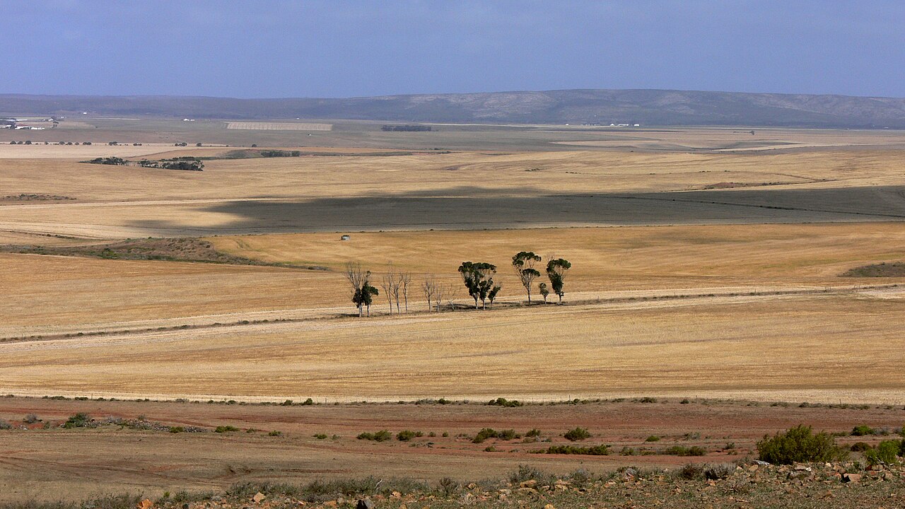 Agricultural landscape in South Africa’s Overberg region as Washington prioritizes Afrikaner refugees
