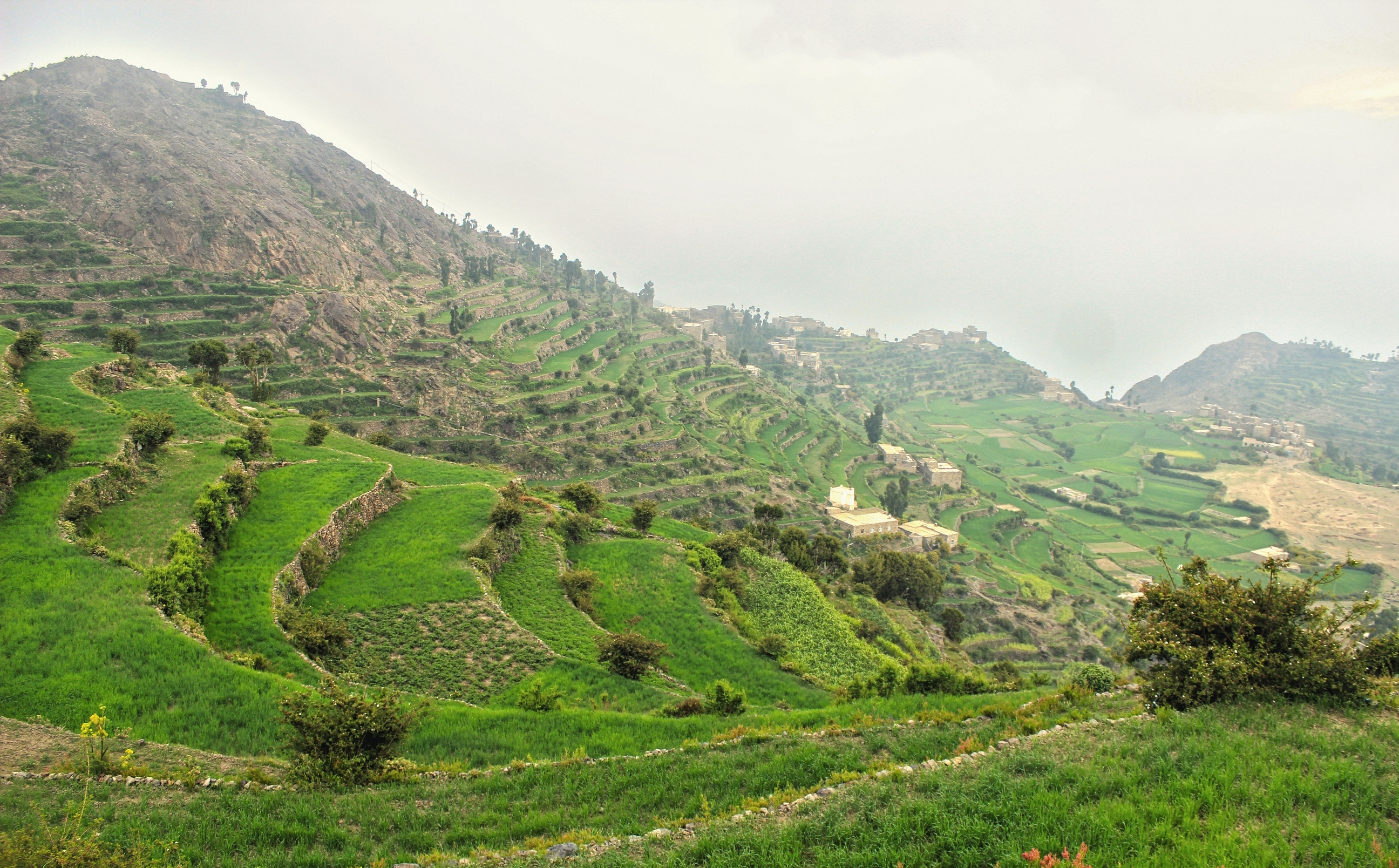 Mount Sabir (Jabal Saber) overlooking Taiz, Yemen — the heights above the village of al-Shaqb, where a sniper bullet hit a pregnant mother treated at Al-Thawra hospital as the Taiz hospital crisis deepened