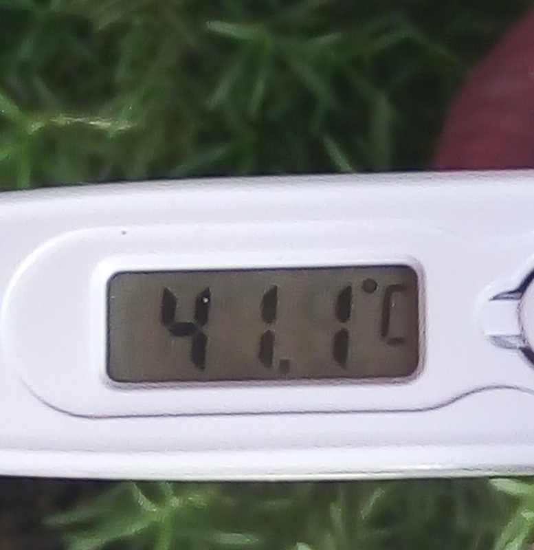 Thermometer reads 41 degrees Celsius during a heat wave, as Southern California set October heat records