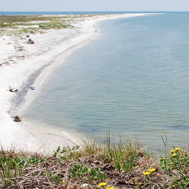 Horn Island shoreline in Mississippi, location context for the Nolan Wells grand jury decision