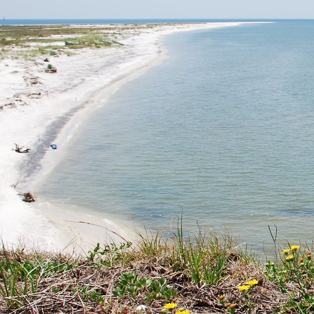 Horn Island shoreline in Mississippi, location context for the Nolan Wells grand jury decision