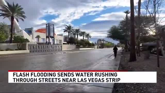 A wide view of a flooded Las Vegas street lined with palm trees during the October 2026 flash flood