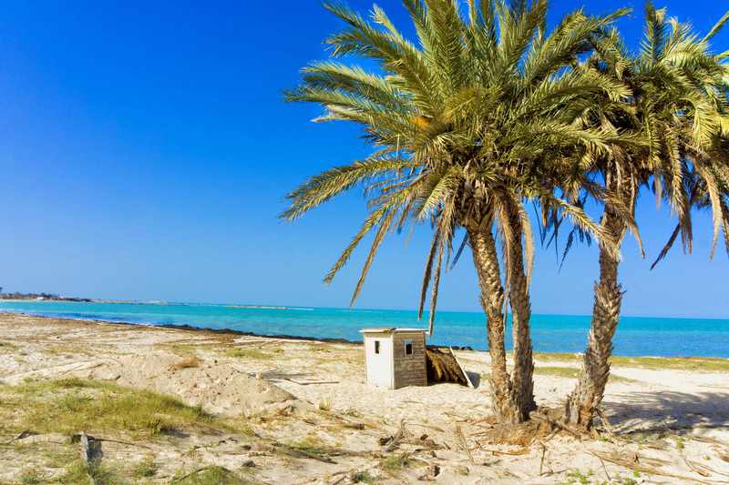 Palm trees and Mediterranean shoreline on Djerba during the October 2026 travel warning