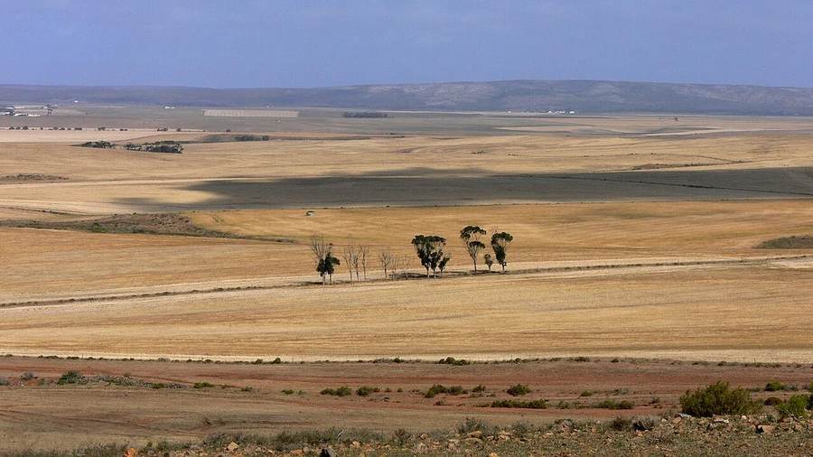 Agricultural landscape in South Africa, shown as national context for the KwaMakhutha shooting