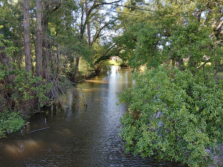 Duckroost Bayou in St. Amant, Louisiana, representing the bayou country of south Louisiana