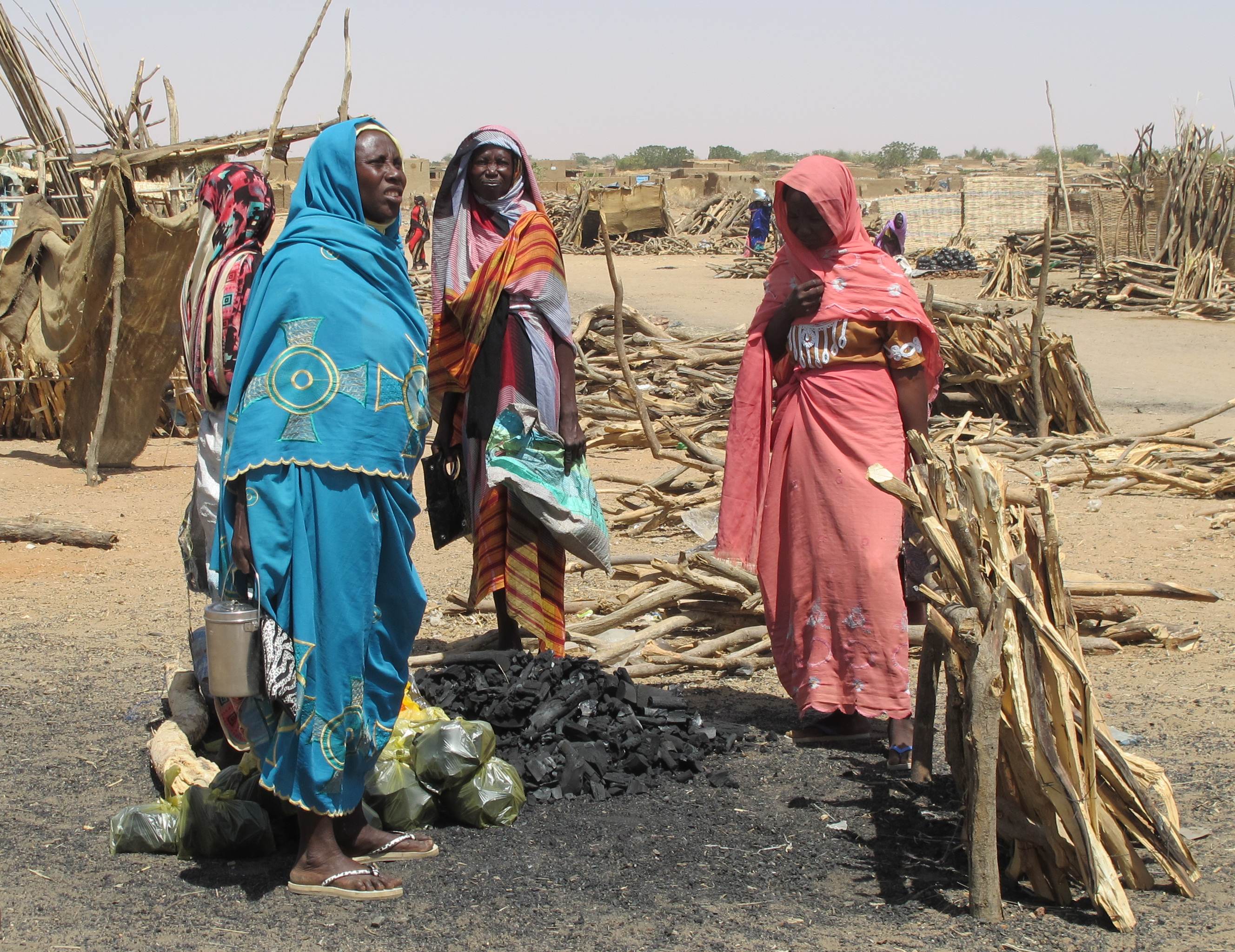 El Fasher in North Darfur, the city at the center of the El Fasher RSF capture