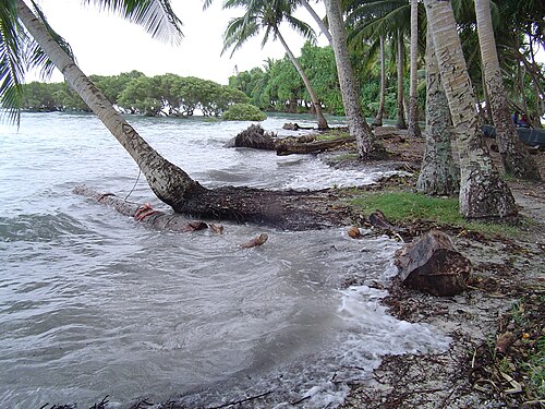 High tide washing through coconut trees on Nukutoa in Takuu Atoll, illustrating the daily exposure of low-lying Pacific islands