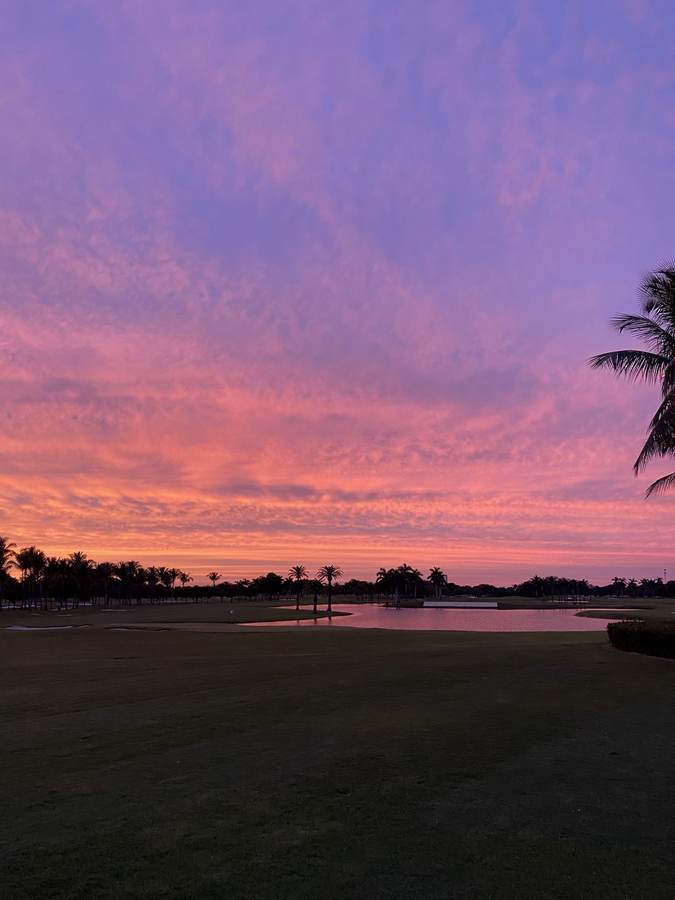 Trump National Doral in Miami, venue for the December summit at the center of the Putin G20 Florida invitation