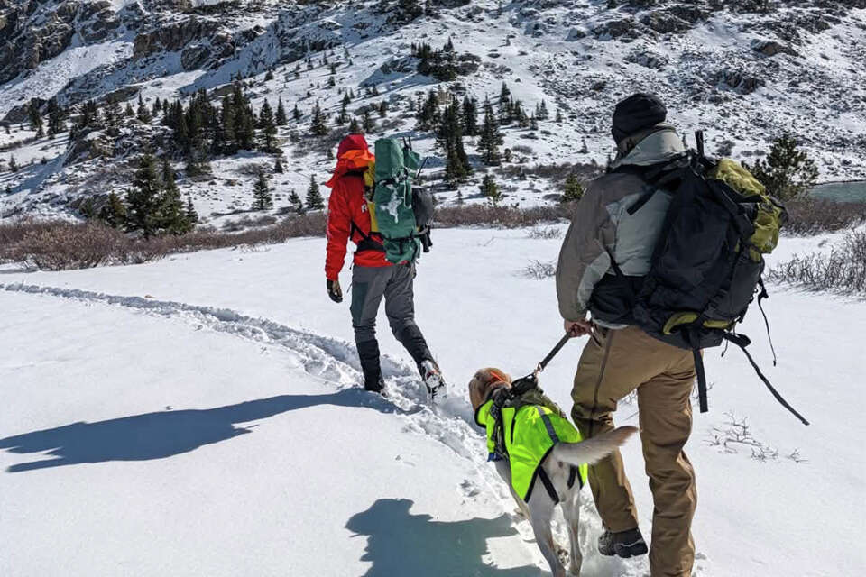 A search-and-rescue volunteer with a dog searching for the missing Colorado hikers near West Apostle Mountain in Chaffee County